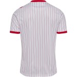 Camiseta Mundial 2026 Visitante Dinamarca Hombre