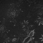 Camiseta Especial Totalmente Negra Dynamo Dresden Hombre 2025/26