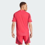 Pantalones Cortos Locales 2025 del St. Louis City SC para Hombre