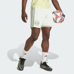 Mujer Portland Timbers 2026 Pantalones Cortos Visitante