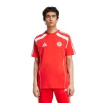 Camiseta Niño Bayern Múnich 2025/26 Urban Purist