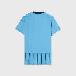 Camiseta local para hombres Djurgårdens IF 2025 Camiseta local para hombres Djurgårdens IF 2025