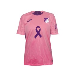 Camiseta especial Cáncer de Mama TSG Hoffenheim 2025/26 para hombre