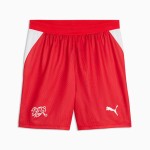 Pantalones cortos de hombre Suiza 2026 Copa del Mundo local