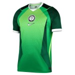 Camiseta Mundial 2026 Local Nigeria Niño